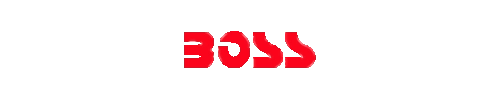 Boss Audio Systems